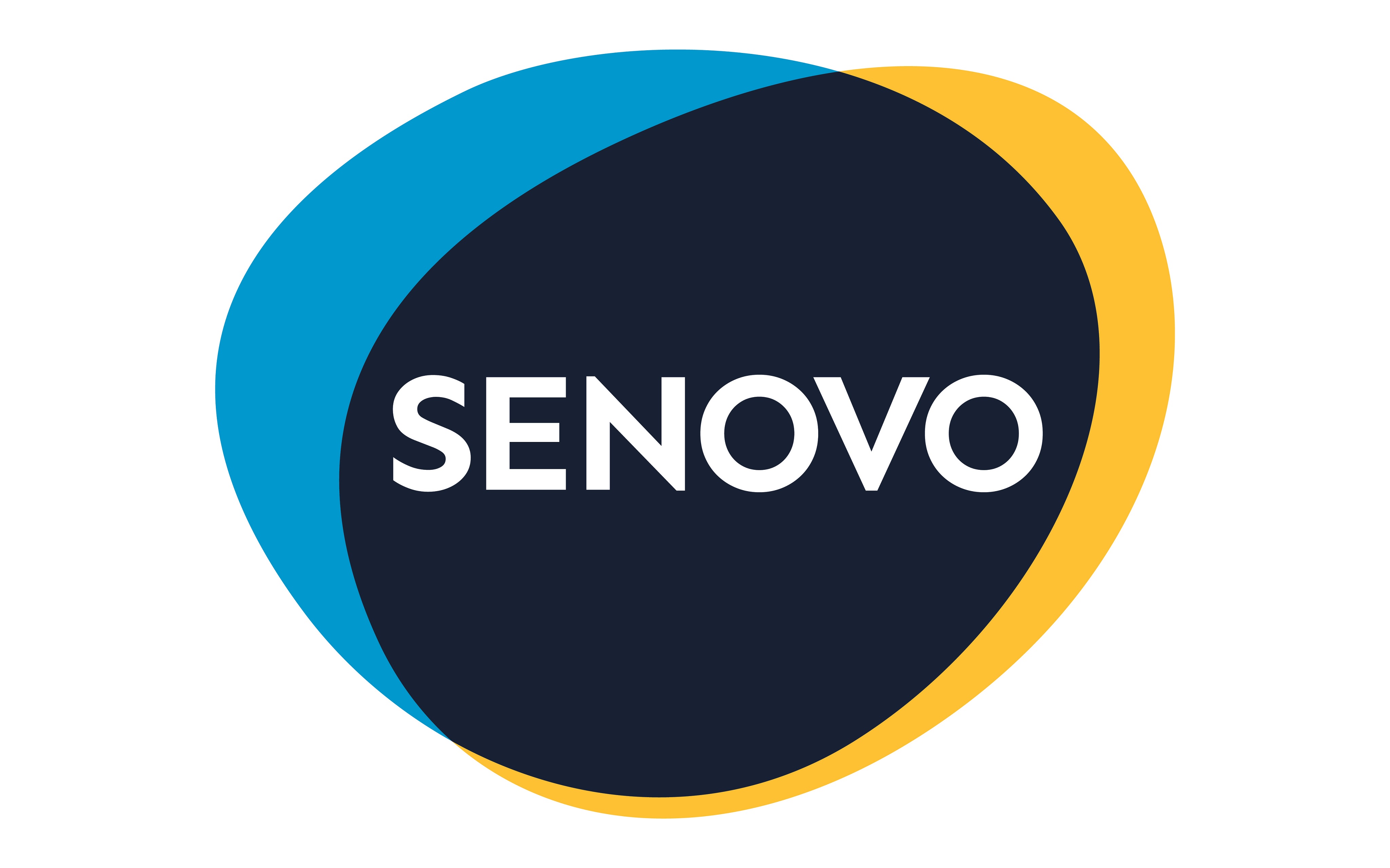 Senovo Capital Management GmbH Logo