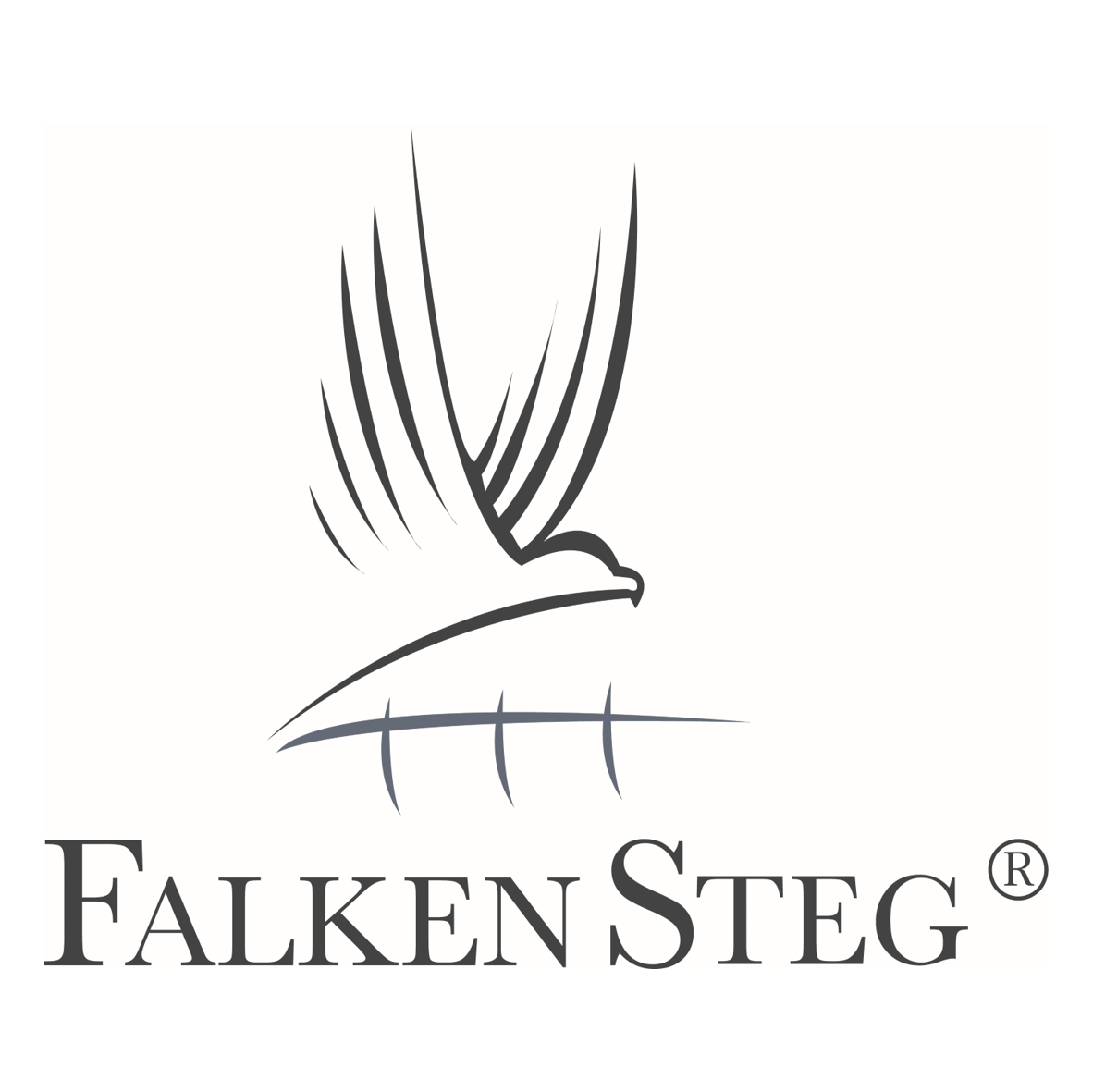 FalkenSteg Logo
